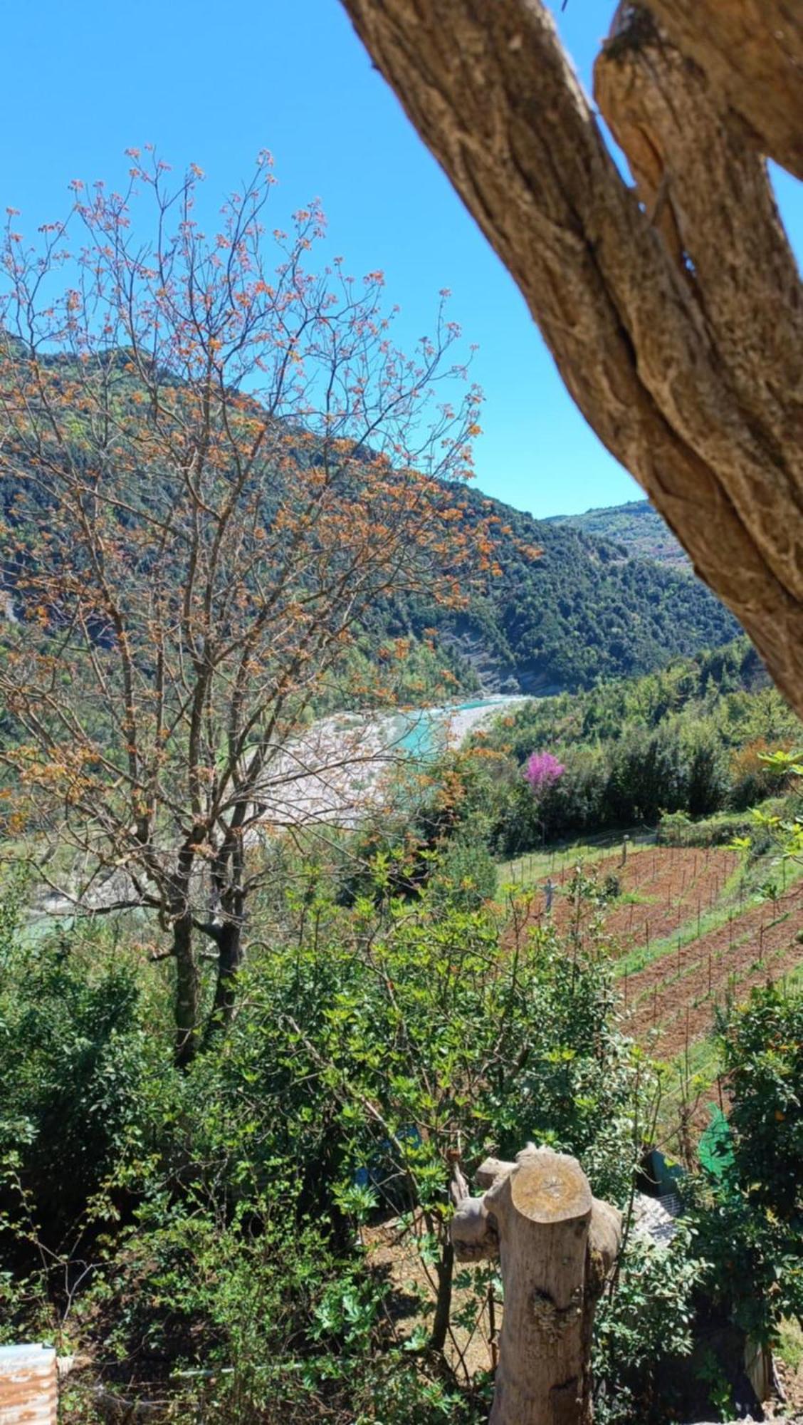 فيلا Ktimata Evdoxia Platanoussa المظهر الخارجي الصورة